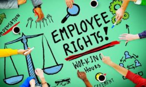 ten-basic-rights-of-an-employee-in-india-must-know